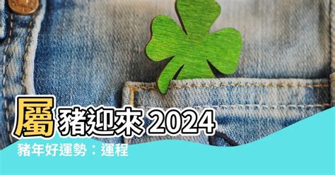 2024年豬|【2024豬年】生肖豬2024好運滾滾來！屬豬運勢、幸。